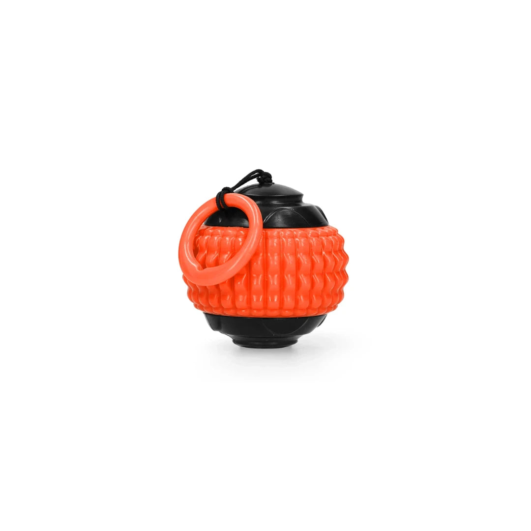 Fetch Frenzy: Bouncy Balls and Frisbees