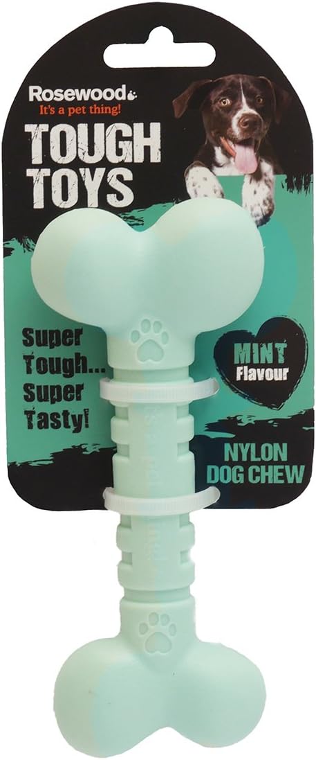 Mint Dental Chew
