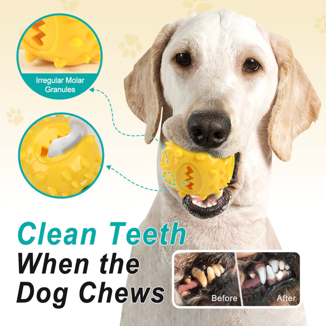 Little Yellow Chew Box