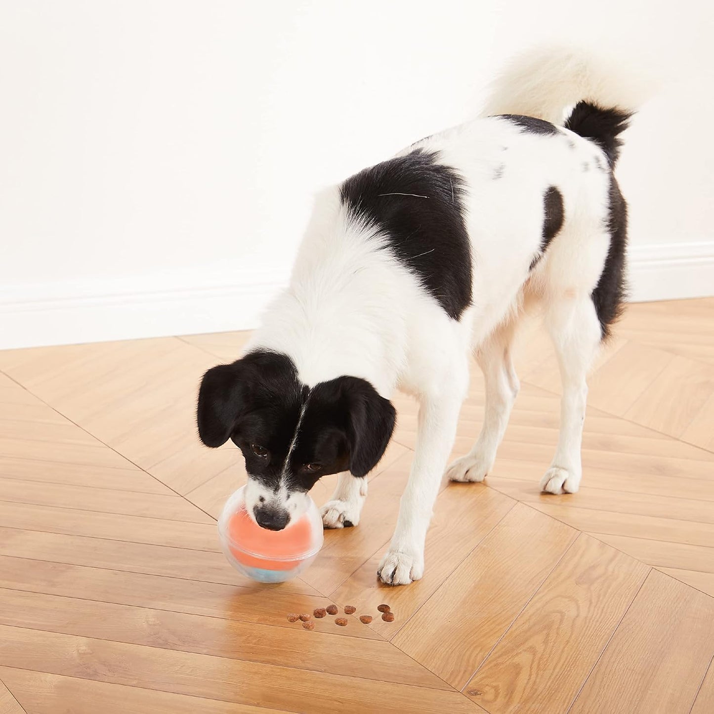 Dog Rumble Puzzle - Level 1 (Easy)